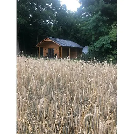 Dom wakacyjny Holiday Home Am Stueher Wald *